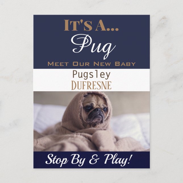 Cartão Postal Engraçado "É um" novo anúncio de Pet (Frente)