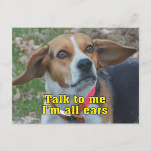 Cartão Postal Engraçado falar comigo, sou o Beagle das Orelhas