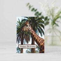 Engraçado Girafa Dando Um Framboesa,