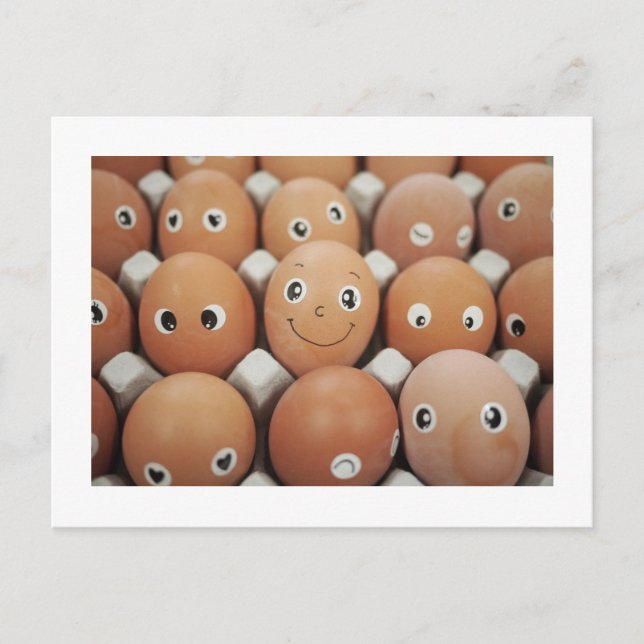 Cartão Postal Engraçado Humor de Cozinha Comida (Frente)