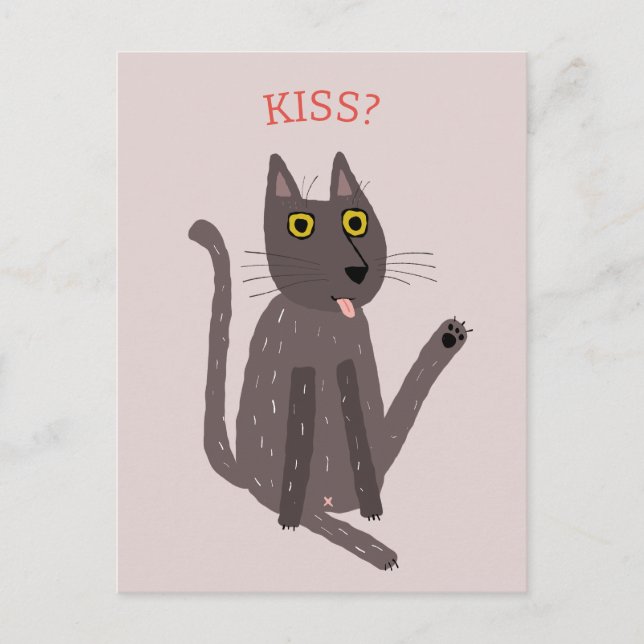 Cartão Postal Engraçado Humor de Gato (Frente)