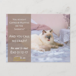 Cartão Postal Engraçado Humor Gato