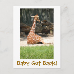 Cartão Postal Engraçado Humorado