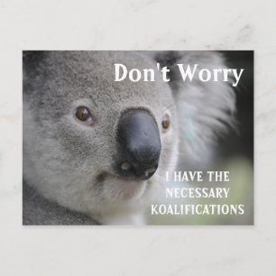 Cartão Postal Engraçado Koala koalifications meme
