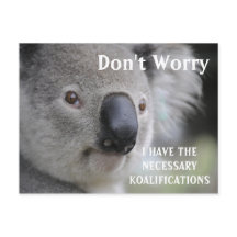 Engraçado Koala koalifications meme
