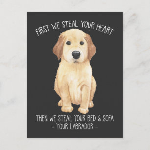 Cartão Postal Engraçado Labrador Retriever Cão Lover Stubborn 