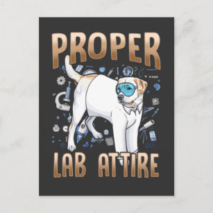 Cartão Postal Engraçado Labrador Retriever Dog Chemistry Science