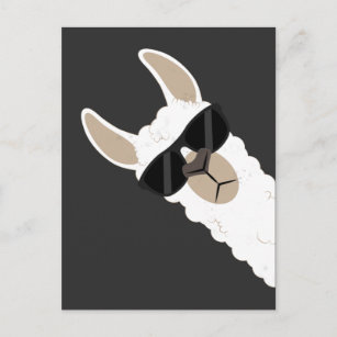 Cartão Postal Engraçado Llama com óculos de sol legal alpaca
