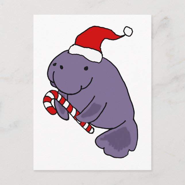 Cartão Postal Engraçado Manatee no Cartoon de Natal do Papai Noe (Frente)