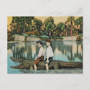 Cartão postal engraçado Ride'um Gator