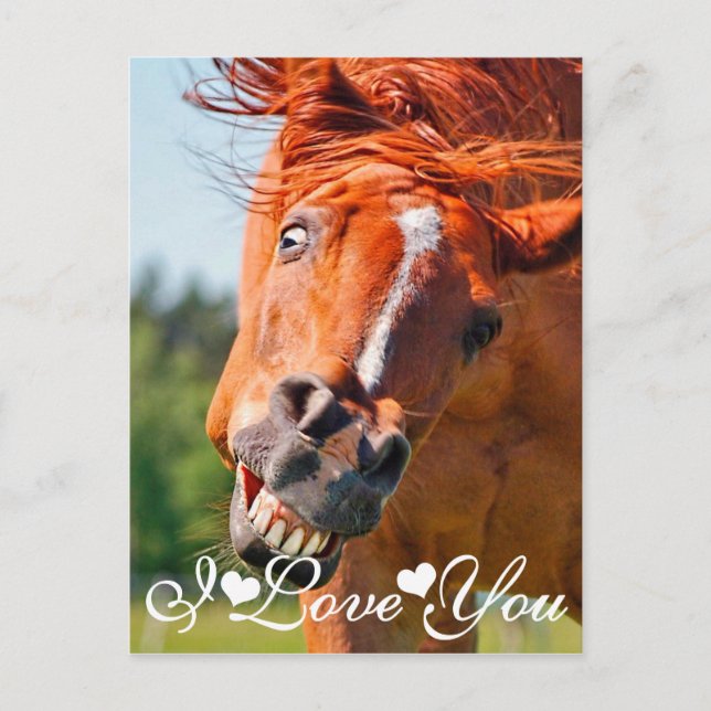 Cartão Postal Engraçado Rindo Cavalo Eu Te Amo (Frente)