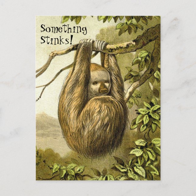 Cartão Postal Engraçado Sloth Cheirando Algo Que Cheira (Frente)
