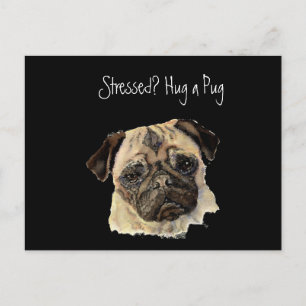 Cartão Postal Engraçado, Stress? Abraça um Pug, Cachorro, Pet, A