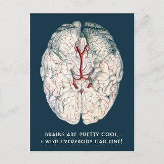 Cartão Postal Engraçado Vintage Brain "Eu Queria Que Todos Tives