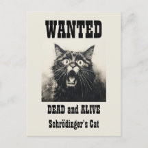 Engraçado Vintage queria o gato do Poster Schrödin