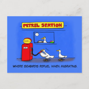 Cartão Postal Engraçados, guloseimas, humor de desenho animado
