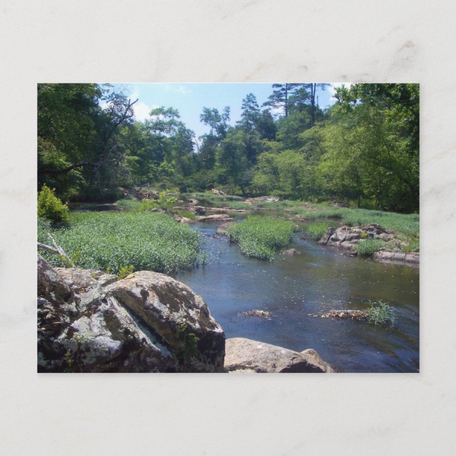 Cartão Postal Eno River, Carolina do Norte (Frente)