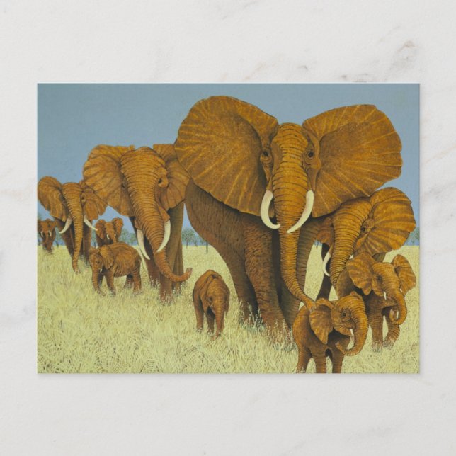 Cartão Postal Enorme, mas cuidando (Frente)