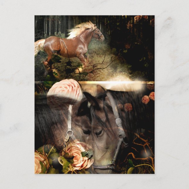 Cartão Postal Enraizado no Amor de Deus (Frente)