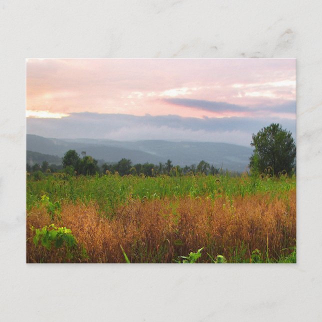 Cartão Postal Enrolador no Sunset (Frente)