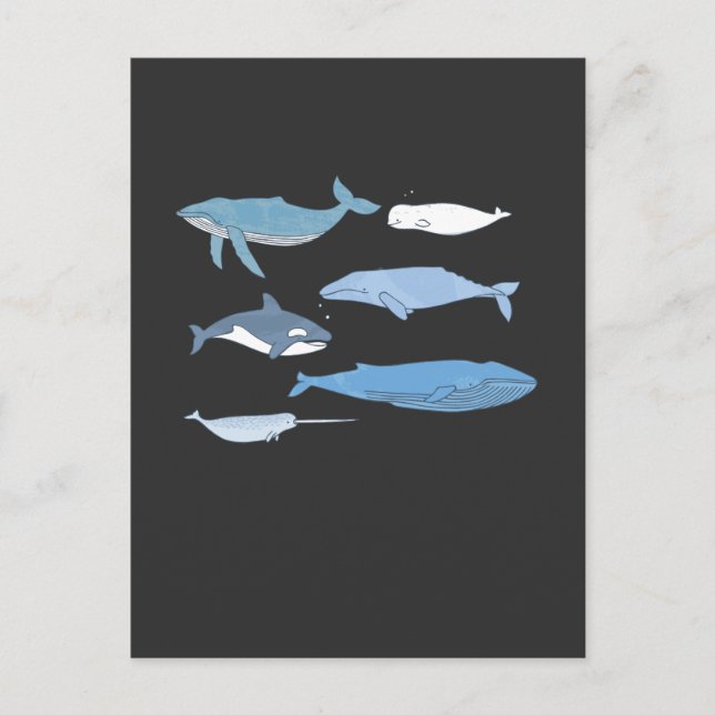 Cartão Postal Ensino dos animais no mar de extração de baleia em (Frente)