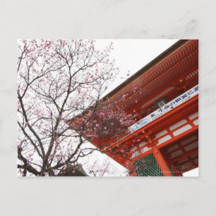 Cartão Postal Entrada