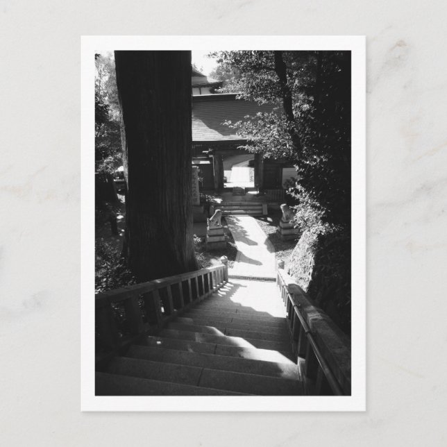 Cartão Postal Entrada no templo Yakuo, Monte Takao: Japão Po (Frente)