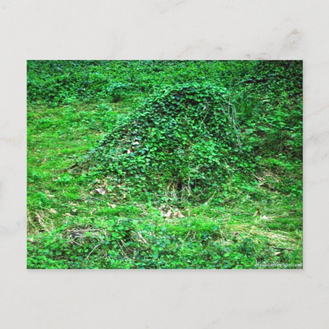 Cartão Postal Entrada para Faery I (Frente)