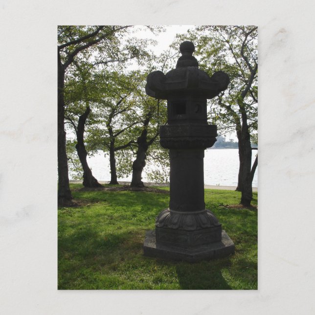 Cartão Postal Entre as árvores de cereja (Frente)