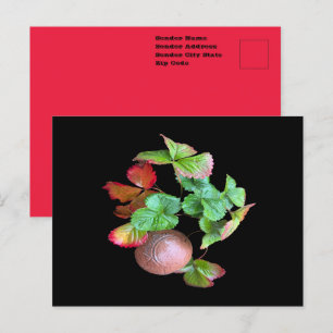 Cartão Postal Entre na Temporada do Morango Jardim de Quintal Fo