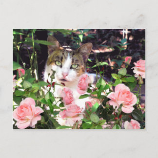 Cartão Postal "Entre Os Rosas"