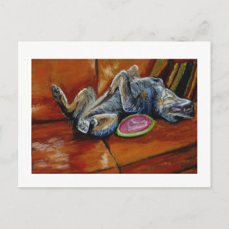 Cartão Postal entrega à frisbee