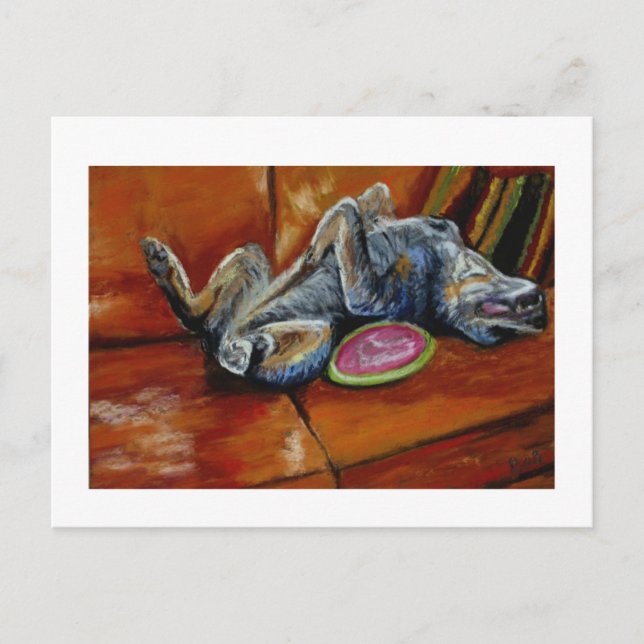 Cartão Postal entrega à frisbee (Frente)