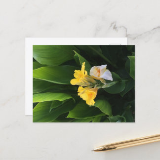 Cartão Postal Entrega de Flores