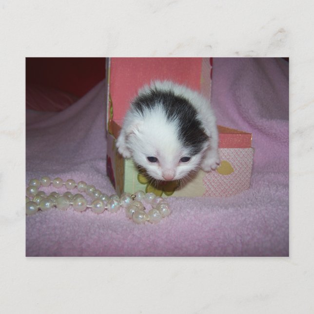 Cartão Postal Entrega postal (Frente)