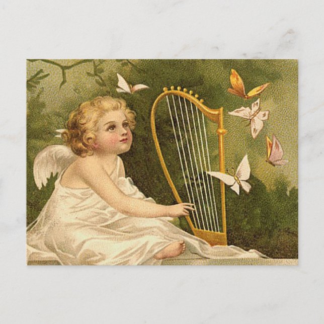 Cartão Postal Entusiasmo pela vida (Frente)