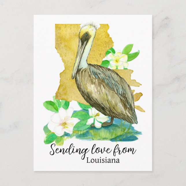 Cartão Postal Enviando Amor Da Louisiana Pelican Magnolia (Frente)
