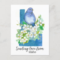 Enviando Amor De Idaho Bluebird Syringa