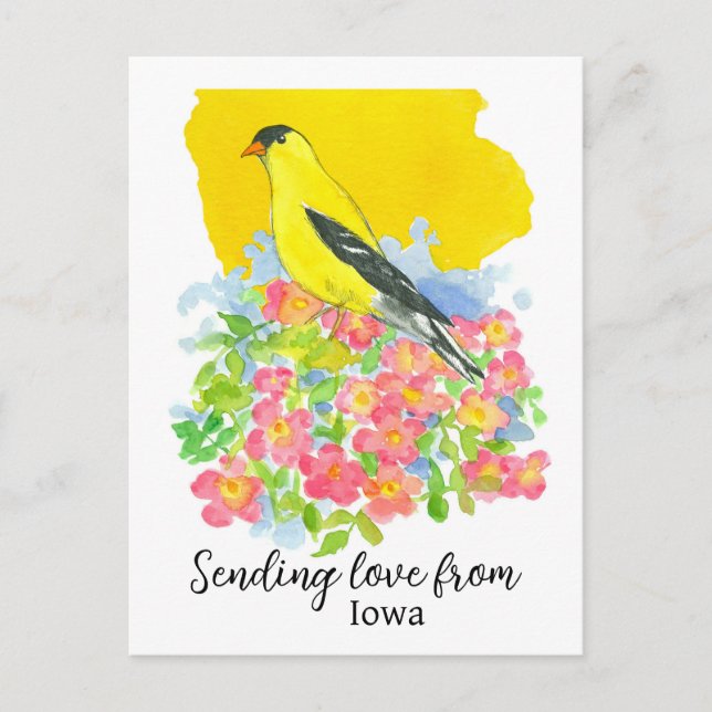 Cartão Postal Enviando Amor De Iowa Goldfinch Prairie Rosa (Frente)