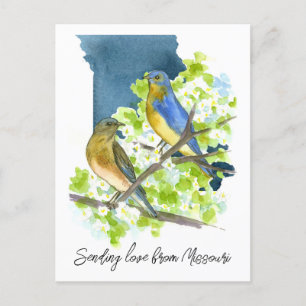 Cartão Postal Enviando Amor, Missouri Bluebird Hawthorn Flower