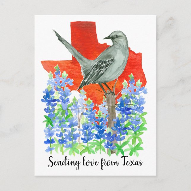 Cartão Postal Enviando amor para o Texas Mockingbird Bluebonnets (Frente)