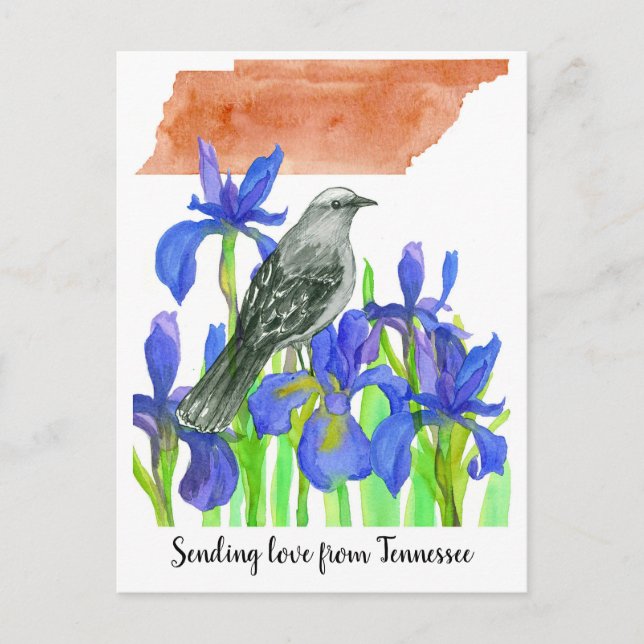 Cartão Postal Enviando Amor Tennessee Mockingbird Iris Flower (Frente)