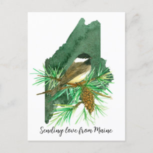 Cartão Postal Enviando Maine Chickadee Pinecone Tassel