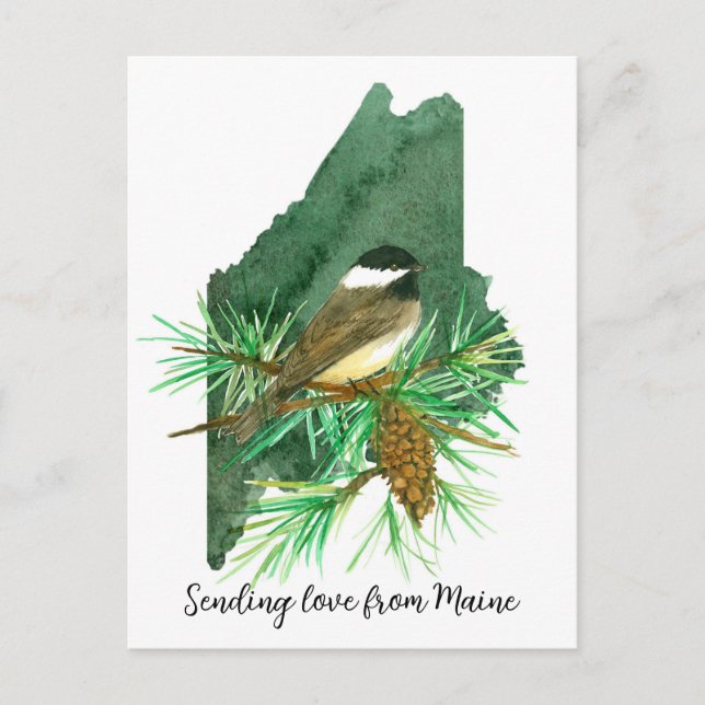 Cartão Postal Enviando Maine Chickadee Pinecone Tassel (Frente)