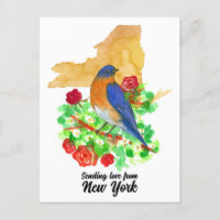 Enviando Rosas vermelhas Bluebird de Nova York