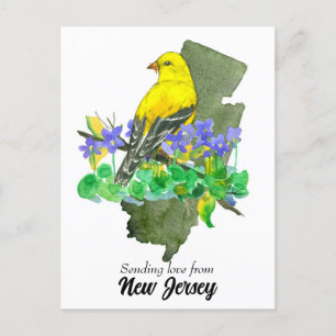Cartão Postal Enviando Violetas Goldfinch para Nova Jersey