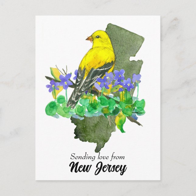 Cartão Postal Enviando Violetas Goldfinch para Nova Jersey (Frente)
