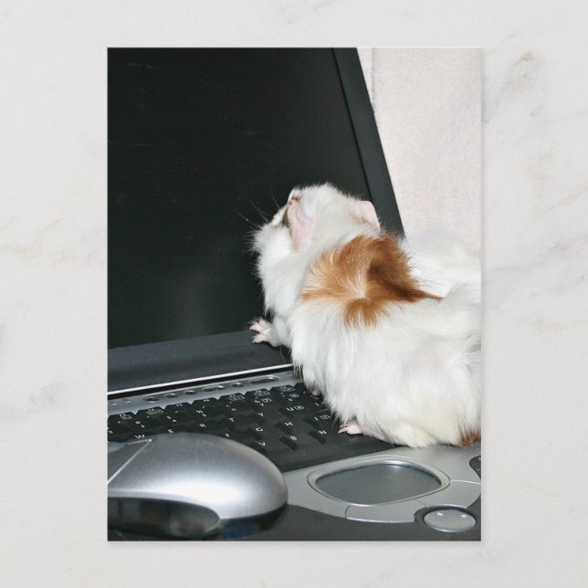 Cartão Postal Envie-me um e-mail! (Frente)