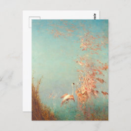 Cartão Postal Envol De Flamants Rosa, Etang De Vaccarès