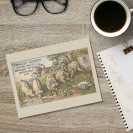 Cartão Postal Ephemera De Publicidade De Animais De Exploração